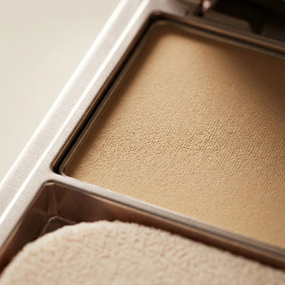 Application de la poudre avec pinceau à maquillage